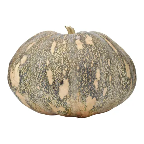 Chayote Quelite Materia Prima