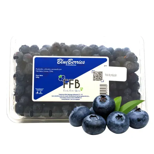Arándanos FFB Empacados - 500 g