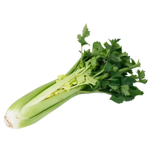 Apio verde Hortifruti - Precio indicado por kilo