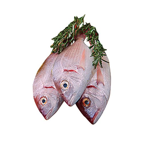 Pargo Rojo Entero Marca Don Cristobal, Precio indicado por Kilo