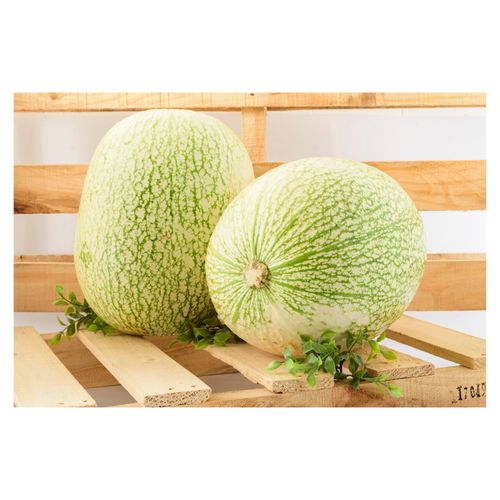 Chiverre Pequeno Unidad