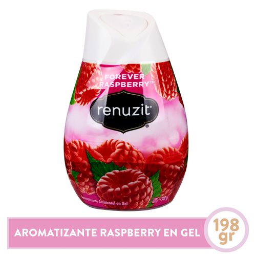 Aromatiz Renuzit Cono Raspberry 198Gr