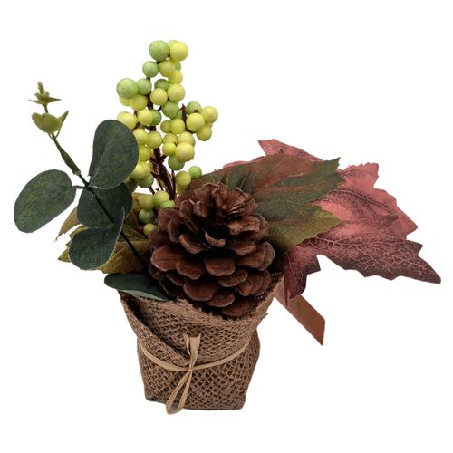 Macetita Way to Celebrate con flores