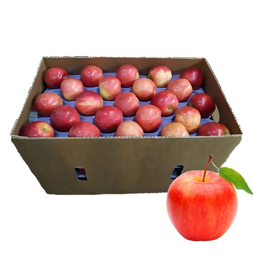 Manzana gala media caja - 40 Uds