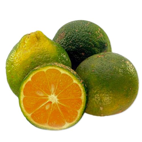 Limón Hortifruti Mandarino - 8 Uds