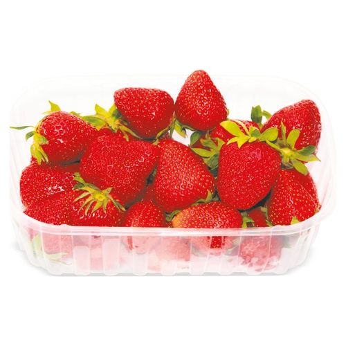 Fresa Bandeja Importada 450 Grs