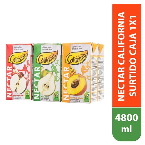 Néctar Petit surtido caja - 4800 ml