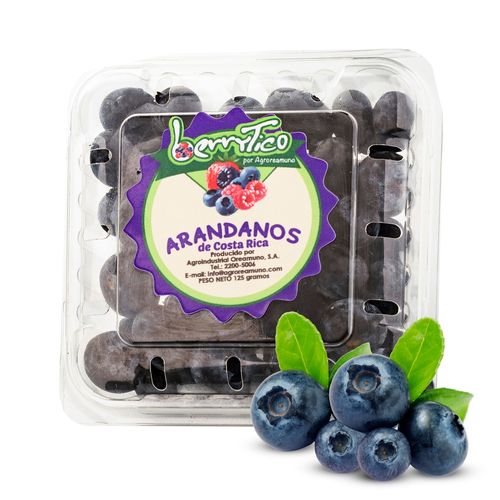 Arándanos Hortifruti empacado - 125 g