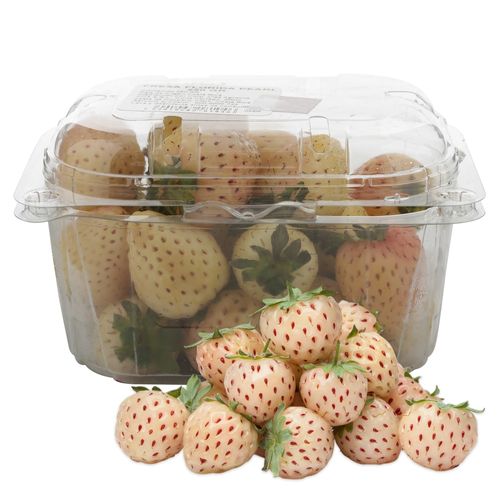 Fresa Florida Pearl Economica 250g Unidad